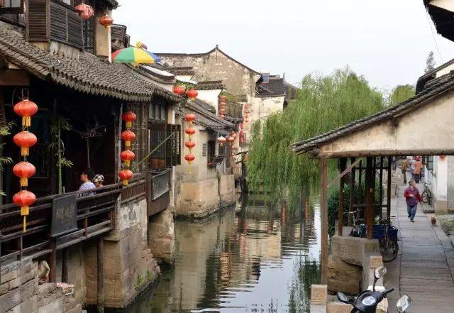 救援受困的火鸡
